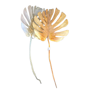 Haste Costela de Adão Pequena Artificial Decor