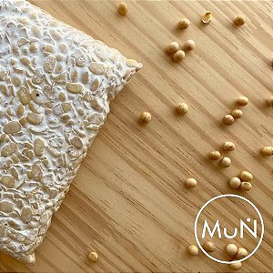 Tempe Soja Orgânica 275g - MUN