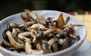 Cogumelo Shimeji Preto - 200g - EL COGUMELO