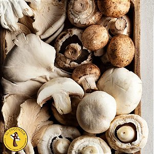 MIX DE COGUMELOS 1kg