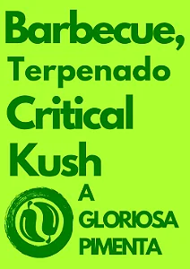 Barbecue Terpenado Critical Kush 300ml - Gloriosa Pimenta