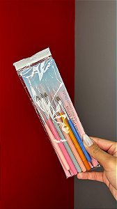 KIT PINCEIS + PINCEIS BOLEADOR
