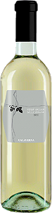 Pinot Grigio Delle Venezie D.O.C. Bianco