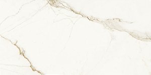 CALACATA GOLD POLIDO - 58X120