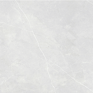 ANTRACITE SILVER RETIFICADO - 46X93