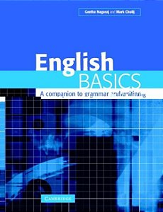 English Basics - A Companion To Grammar And Writing