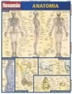 Resumao - Anatomia