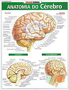 Resumão Medicina - Anatomia Do Cérebro
