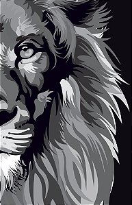 Bíblia Arc 860 Lion Colors - Black & White - Letra Normal Almeida Revista E Corrigida