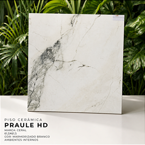 Piso Cerâmico Marmorizado Branco Praule HD 61,5x61,5 Ceral