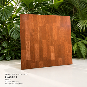 Piso Semigres Brilhante Retificado 53x53 Savane Classe C