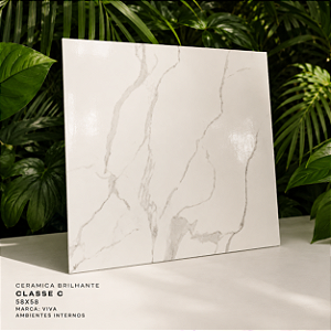 Cerâmica Brilhante Classe C 58x58 Viva Interna