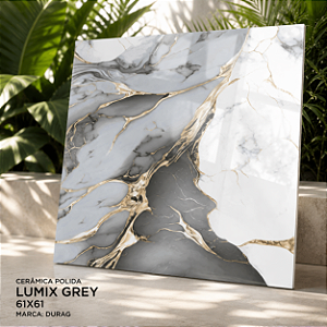Ceramica Polida 61x61 Lumix Grey Durag