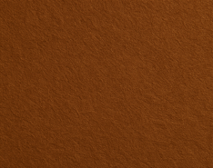 TNT Aveludado - Marron Havana