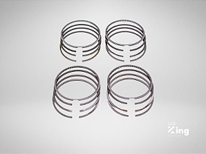 Anel de Segmento Isuzu D201