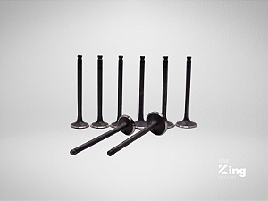 Jogo de Válvulas de Admissão e Escape Isuzu D201