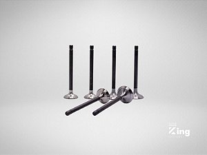 Válvulas de Admissão e Escape Kubota D722