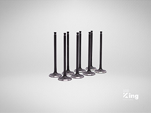 Válvulas de Admissão e Escape Toyota 1KD