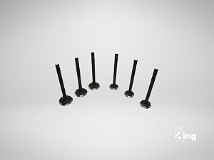 Válvulas de Admissão e Escape Kubota D1100