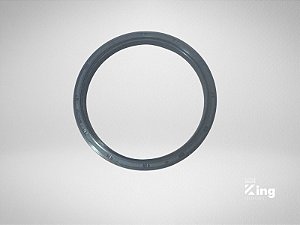 Retentor Traseiro V2203