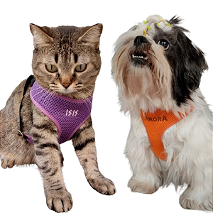 Coleira Peitoral Bordada Evolution