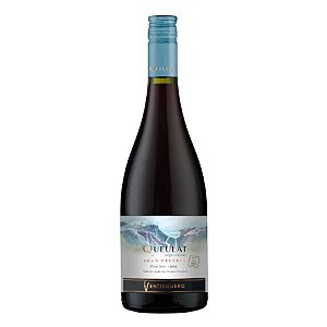 Vinho Ventisquero Queulat Gran Reserva Pinot Noir 750ml