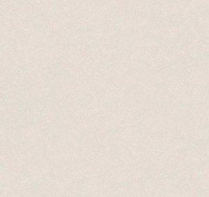 Porcelanato 60X60 A Retificado Cemento Marfim  Ace Le CX2,20