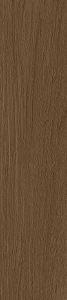 Porcelanato 26X106 A Retificado Aveiro Beige Satin Ace CX2,0