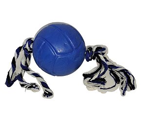 Bola Dino maciça vôlei 75mm