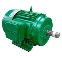 Motor Trifásico 25CV 2 Pólos - NOVA