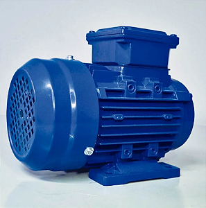 MOTOR 12,5 CV Trifásico 4 Pólos - Mototec