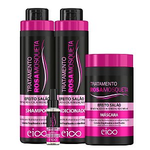Kit Eico Tratamento Rosa Mosqueta Máscara 1kg Óleo 60ml