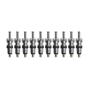Núcleo Válvula Schrader Nitrilica Standart-bore 5v1 10 Pçs