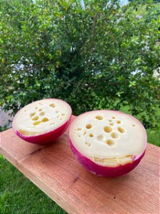 Queijo Bola 600g - Tipo Reino - Maturado 1 mês