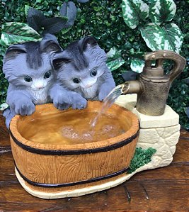 Fonte Cats