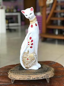 Gato Branco