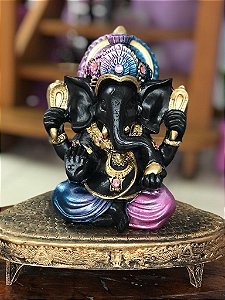 Ganesha M (Preto/furta cor)