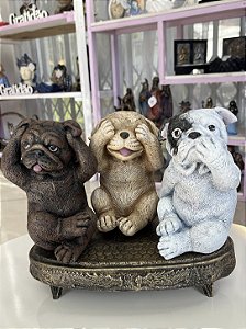 Trio de cachorros