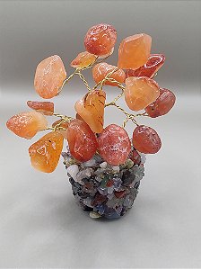 Árvore da Vida no vasinho em pedras - Ágata