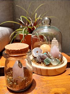 Terrários Personalizados