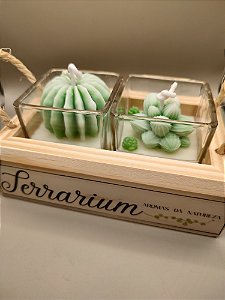 Vela Terrarium