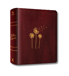 Biblia Mulheres  Viviane Martinello  NAA  Espaco Para Anotacoes  Sopro Divino