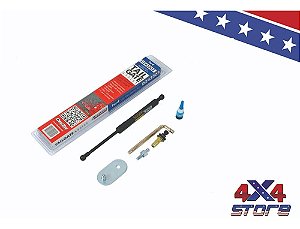 AMORTECEDOR TAMPA - F-250 - DZ43203