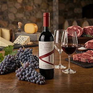 Vinho Tinto VIK “A” Cabernet Sauvignon 2022 — 750ml