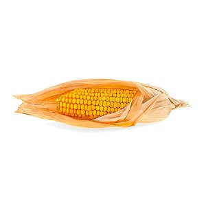 Espiga de Milho Seco Para Decoração de Festa Junina - 1 unidade - Rizzo