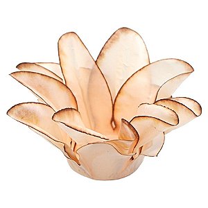 Forminha Para Doces Finos - Estrela do Mar Creme Queimado - 20 unidades - Decora Doces - Rizzo