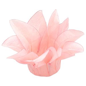 Forminha Para Doces Finos - Estrela do Mar Goiaba Matte  - 20 unidades - Decora Doces - Rizzo