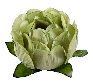 Forminha para Doces Finos - Bela Pistache Clarríssima 40 unidades - Decora Doces