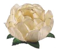 Forminha para Doces Finos - Bela Marfin Queimado 40 unidades - Decora Doces - Rizzo Festas