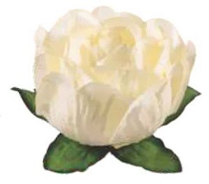 Forminha para Doces Finos - Bela Marfim 40 unidades - Decora Doces - Rizzo Festas